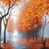 Autumn Park Landscape Paint By Numbers