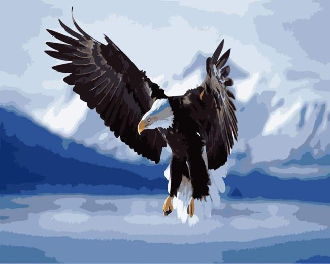 Eagle Majesty Birds Paint By Numbers