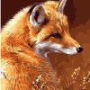 Wild Fox Animal Art Paint By Numbers