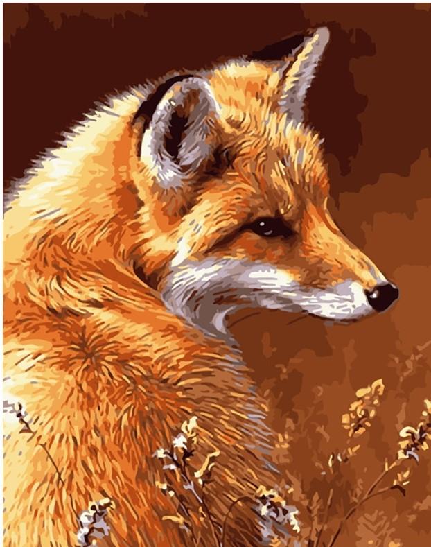 Finalizing Wild Fox Animal Art Paint By Numbers