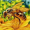 Yellow Bee Floral Animals Paint By Numbers