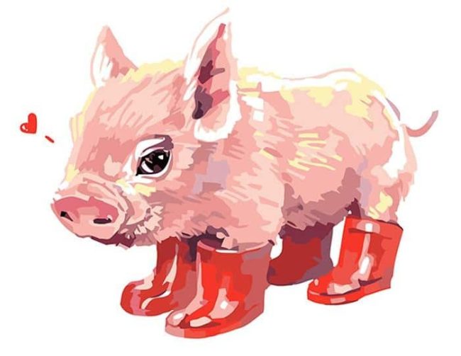 Pink Pig Animal Paint By Numbers