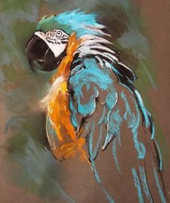 Parrot Birds Paint By Numbers