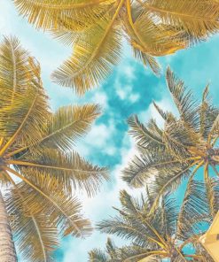 Palms Landscape Photography Paint By Numbers