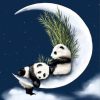 Panda Crescent Paint By Numbers