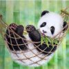 Panda Hammock Relaxation Paint By Numbers