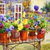 Pandy Plant Pots Flowers Paint By Numbers