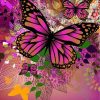 Pink Butterfly Animals Paint By Numbers