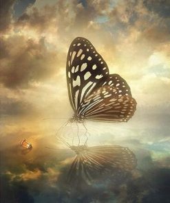 Large Tree Nymph Butterfly Paint By Numbers