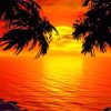 Island Sunset Paradise Paint By Numbers