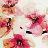 Pink Peach Blossom Paint By Numbers