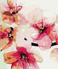 Pink Peach Blossom Paint By Numbers