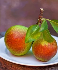 Pear Painting for Beginners Paint By Numbers