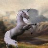 White Horse Unicorn Paint By Numbers