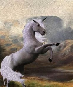 White Horse Unicorn Paint By Numbers