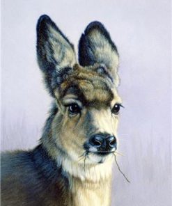 Winter Llama Animals Paint By Numbers