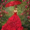 Rose Gown Girl Paint By Numbers