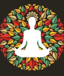 Lotus Chakra Anime Paint By Numbers