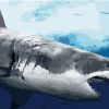 Great White Shark Painting Experience Paint By Numbers