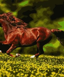 Arabian Horses of the Wild Paint By Numbers