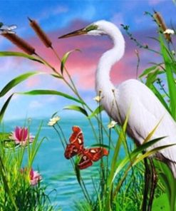 Stork and Bird Collection Paint By Numbers