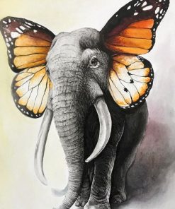 Butterfly Elephant Animals Paint By Numbers