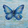 Common Blue Butterfly Animal Paint By Numbers