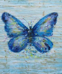 Common Blue Butterfly Animal Paint By Numbers