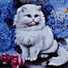 White Cat Animals Paint By Numbers