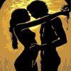 Moonlit Lovers Romance Paint By Numbers