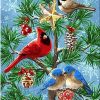 Festive Birds Paint By Numbers