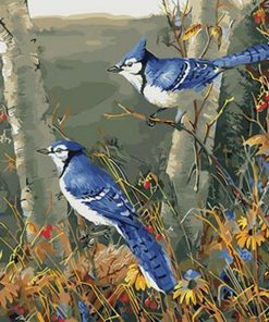 Blue Jay And Birch Trees Paint By Numbers