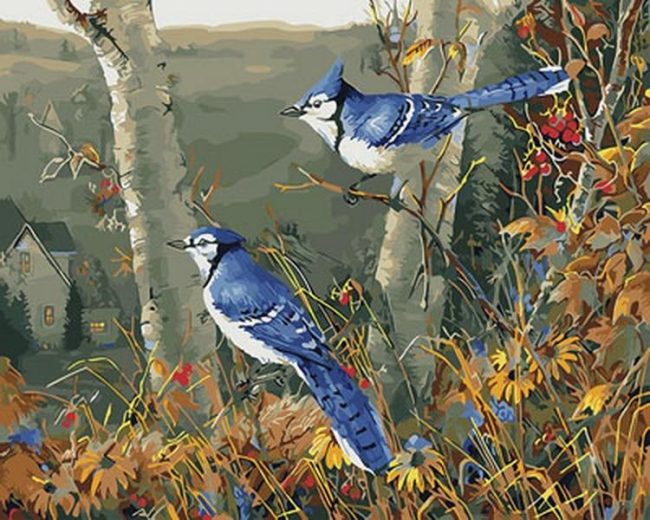 Blue Jay And Birch Trees Paint By Numbers