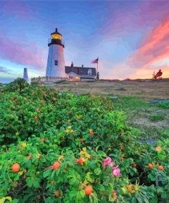 Pemaquid Sunset Lighthouse Paint By Numbers