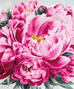 Pink Peony Flowers Paint By Numbers