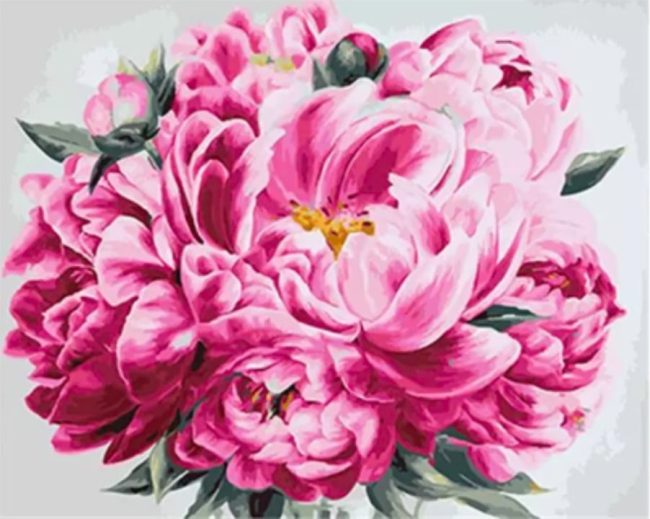 Pink Peony Flowers Paint By Numbers