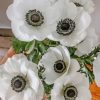 White Anemone Floral Paint By Numbers
