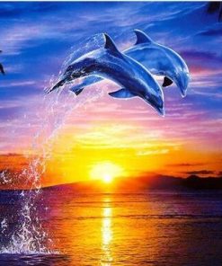 Dolphin Ocean Sunset Paint By Numbers