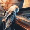 Owl on Piano Birds Picture Paint By Numbers