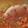 Adorable Pig Eating Apples Paint By Numbers