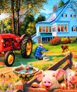 Farm Pigs Animals Paint By Numbers
