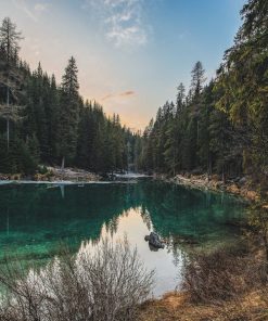 Pine Forest Lake Paint By Numbers