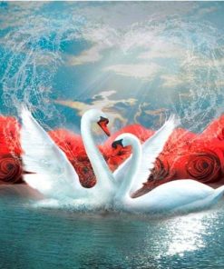 Swans Waterfowl Elegance Paint By Numbers