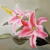 Pink Lilies Blooming Paint By Numbers