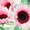Pink Sunflowers Flower Art Paint By Numbers