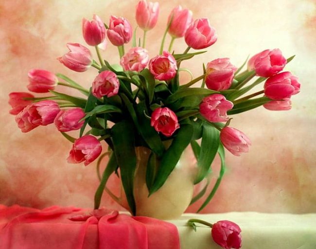 Pink Tulip Floral Paint By Numbers