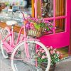 Pink Bicycle with Floral Pattern Paint By Numbers