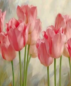 Pink Tulips Flowers Paint By Numbers