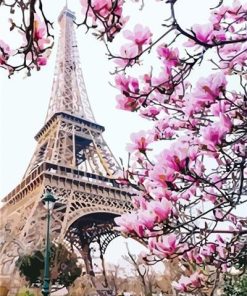 Pink Paris Blossoms Paint By Numbers