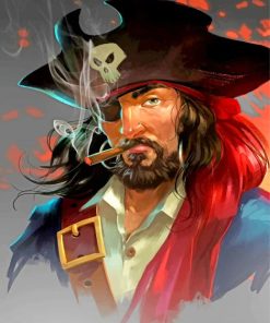 Bold Pirate Paint By Numbers